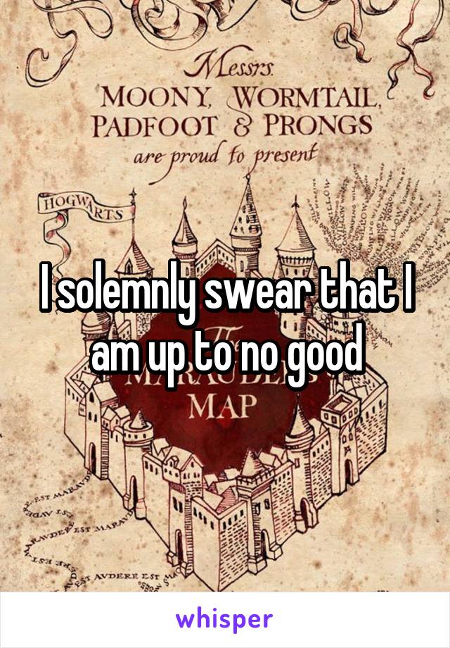 I solemnly swear that I am up to no good