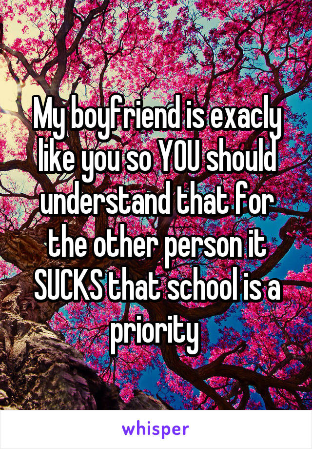 My boyfriend is exacly like you so YOU should understand that for the other person it SUCKS that school is a priority 
