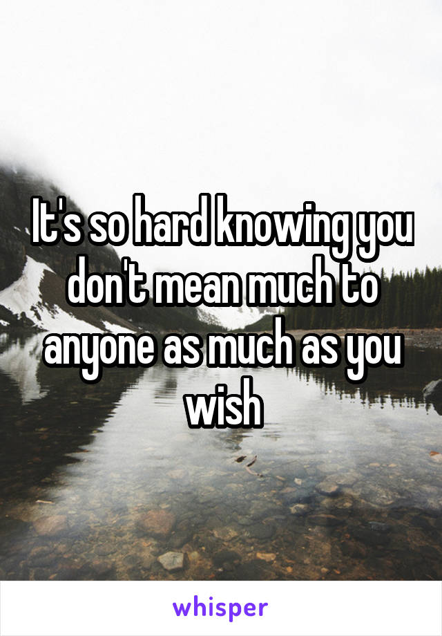 It's so hard knowing you don't mean much to anyone as much as you wish