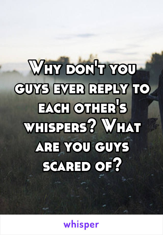 Why don't you guys ever reply to each other's whispers? What are you guys scared of?