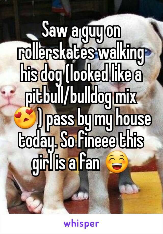 Saw a guy on rollerskates walking his dog (looked like a pitbull/bulldog mix 😍) pass by my house today. So fineee this girl is a fan 😁