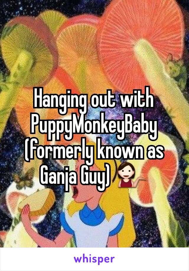 Hanging out with PuppyMonkeyBaby (formerly known as Ganja Guy) 💁