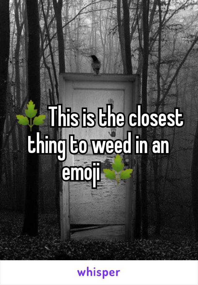 🌿This is the closest thing to weed in an emoji🌿