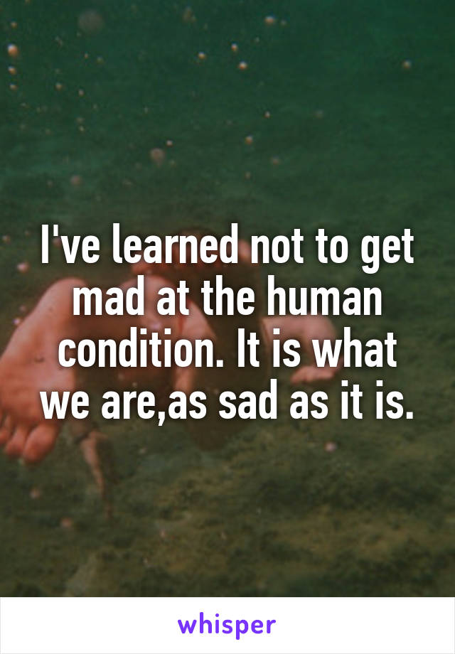 I've learned not to get mad at the human condition. It is what we are,as sad as it is.