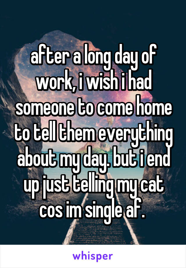 after a long day of work, i wish i had someone to come home to tell them everything about my day. but i end up just telling my cat cos im single af. 