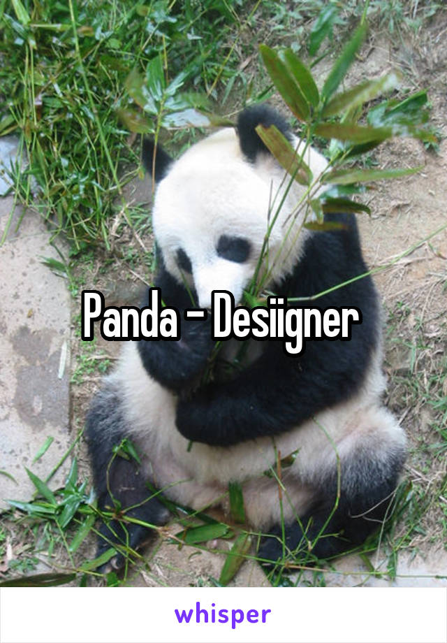 Panda - Desiigner 