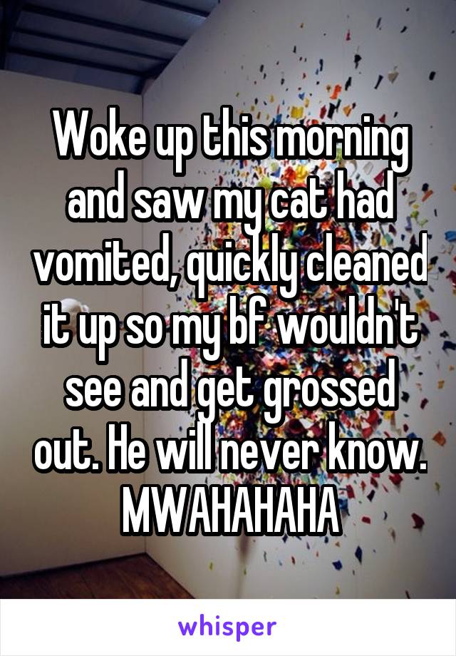 Woke up this morning and saw my cat had vomited, quickly cleaned it up so my bf wouldn't see and get grossed out. He will never know. MWAHAHAHA