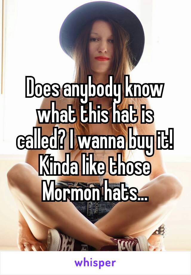 Does anybody know what this hat is called? I wanna buy it! Kinda like those Mormon hats…