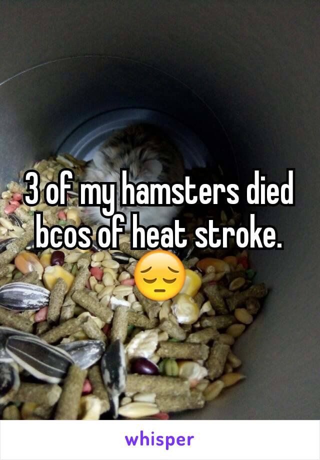 3 of my hamsters died bcos of heat stroke.  😔