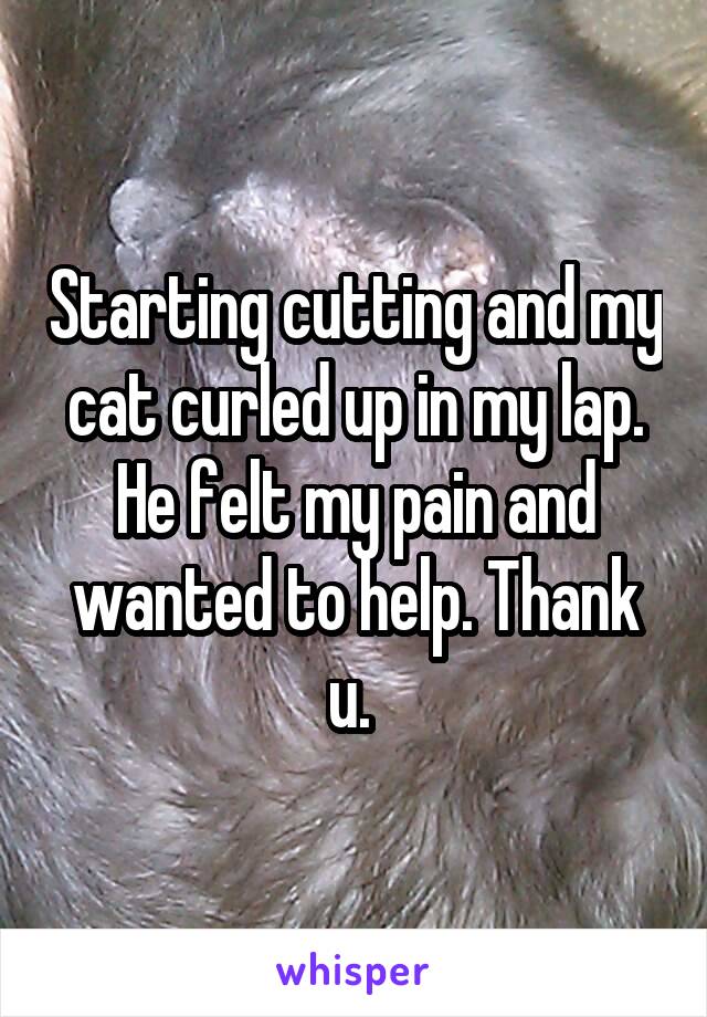 Starting cutting and my cat curled up in my lap. He felt my pain and wanted to help. Thank u. 