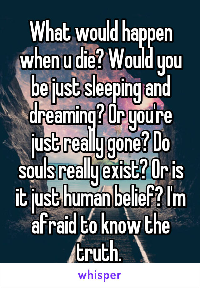 What would happen when u die? Would you be just sleeping and dreaming? Or you're just really gone? Do souls really exist? Or is it just human belief? I'm afraid to know the truth. 