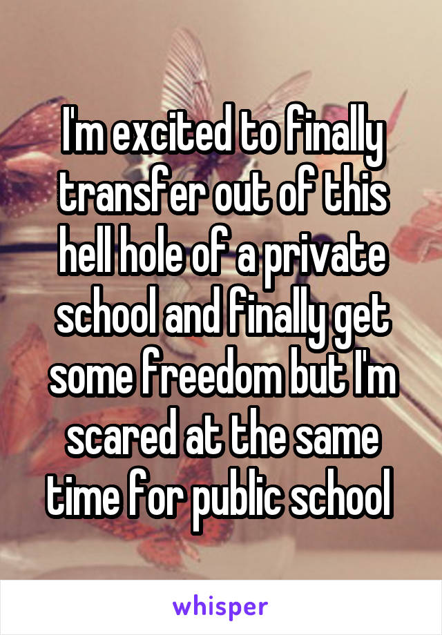 I'm excited to finally transfer out of this hell hole of a private school and finally get some freedom but I'm scared at the same time for public school 