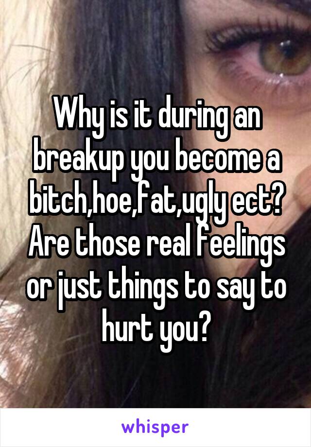 Why is it during an breakup you become a bitch,hoe,fat,ugly ect? Are those real feelings or just things to say to hurt you?