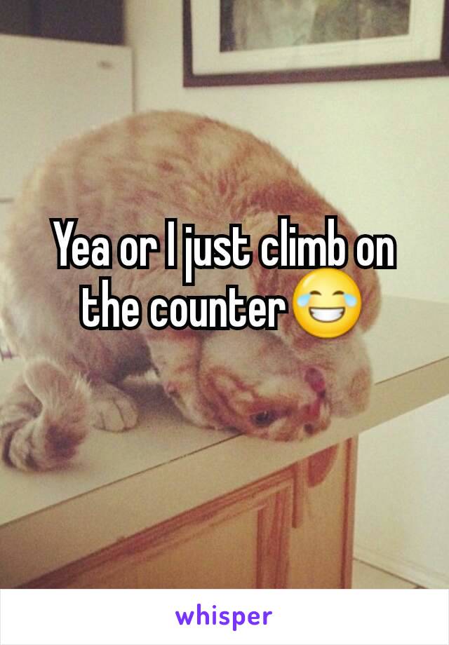 Yea or I just climb on the counter😂