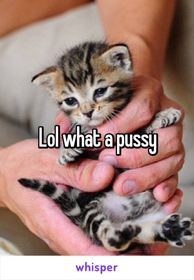 Lol what a pussy