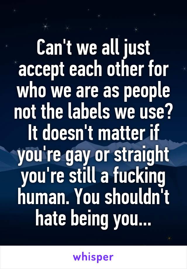 Can't we all just accept each other for who we are as people not the labels we use? It doesn't matter if you're gay or straight you're still a fucking human. You shouldn't hate being you...