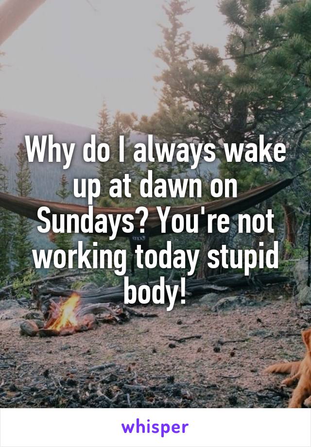 Why do I always wake up at dawn on Sundays? You're not working today stupid body!