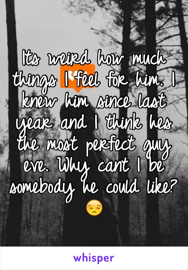 Its weird how much things I feel for him. I knew him since last year and I think hes the most perfect guy eve. Why cant I be somebody he could like?😒