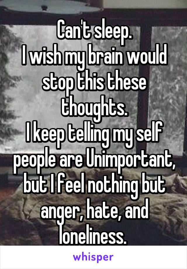 Can't sleep.
I wish my brain would stop this these thoughts.
I keep telling my self people are Unimportant, but I feel nothing but anger, hate, and loneliness. 