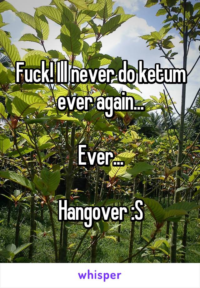 Fuck! Ill never do ketum ever again...

Ever...

Hangover :S