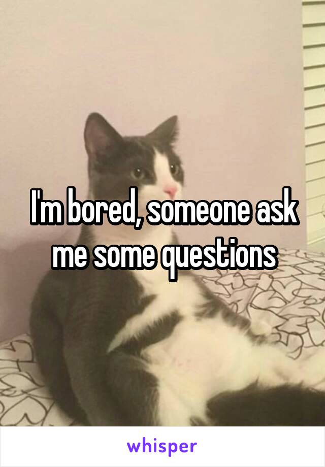 I'm bored, someone ask me some questions