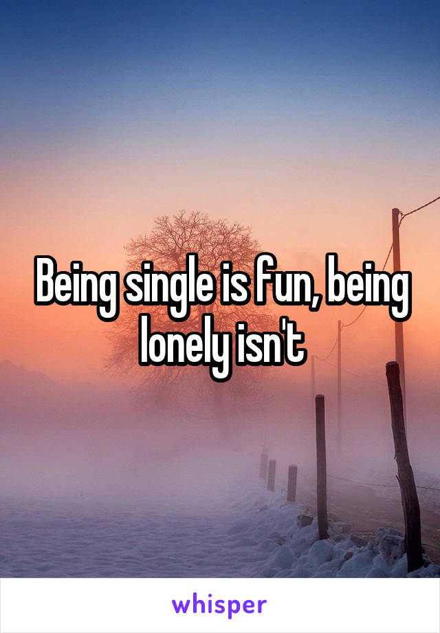 Being single is fun, being lonely isn't