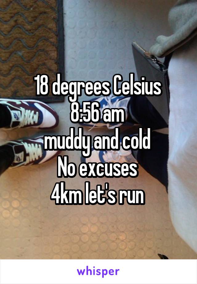 18 degrees Celsius 
8:56 am 
muddy and cold 
No excuses 
4km let's run 