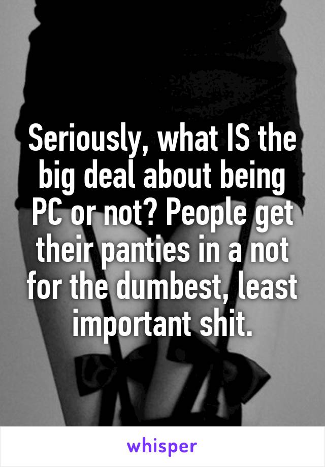 Seriously, what IS the big deal about being PC or not? People get their panties in a not for the dumbest, least important shit.