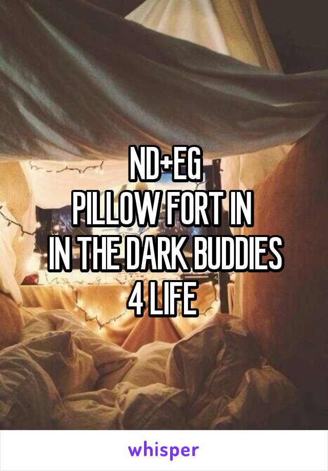 ND+EG
PILLOW FORT IN 
IN THE DARK BUDDIES
4 LIFE 