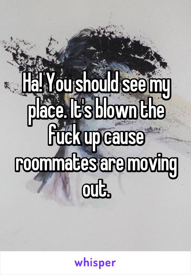 Ha! You should see my place. It's blown the fuck up cause roommates are moving out.