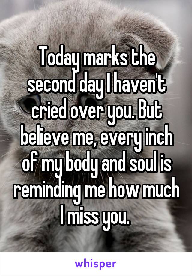 Today marks the second day I haven't cried over you. But believe me, every inch of my body and soul is reminding me how much I miss you. 