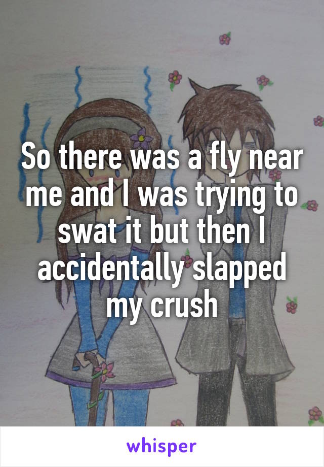 So there was a fly near me and I was trying to swat it but then I accidentally slapped my crush