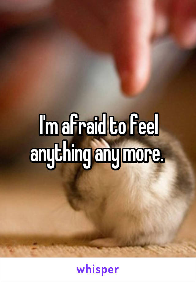 I'm afraid to feel anything any more. 