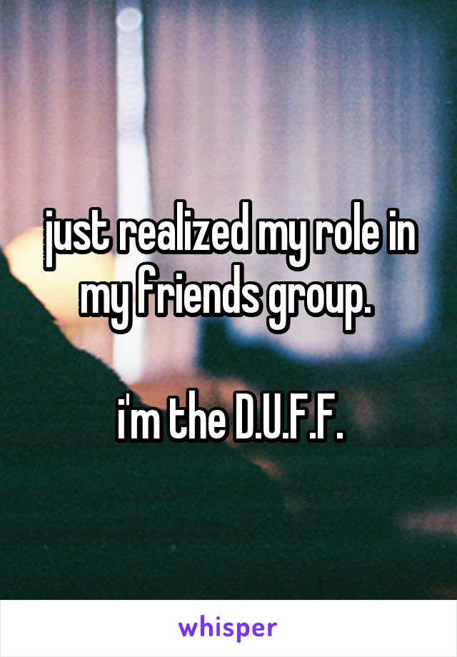 just realized my role in my friends group. 

i'm the D.U.F.F.