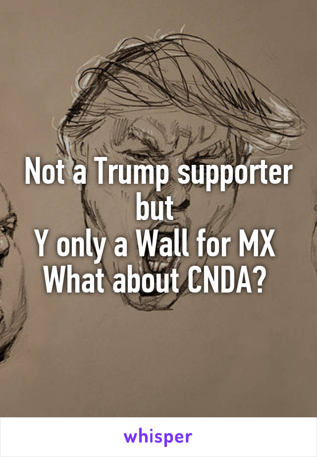 Not a Trump supporter but 
Y only a Wall for MX 
What about CNDA? 