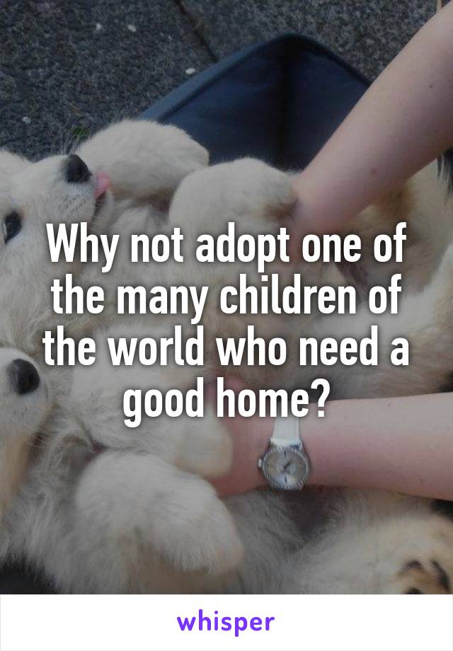 Why not adopt one of the many children of the world who need a good home?