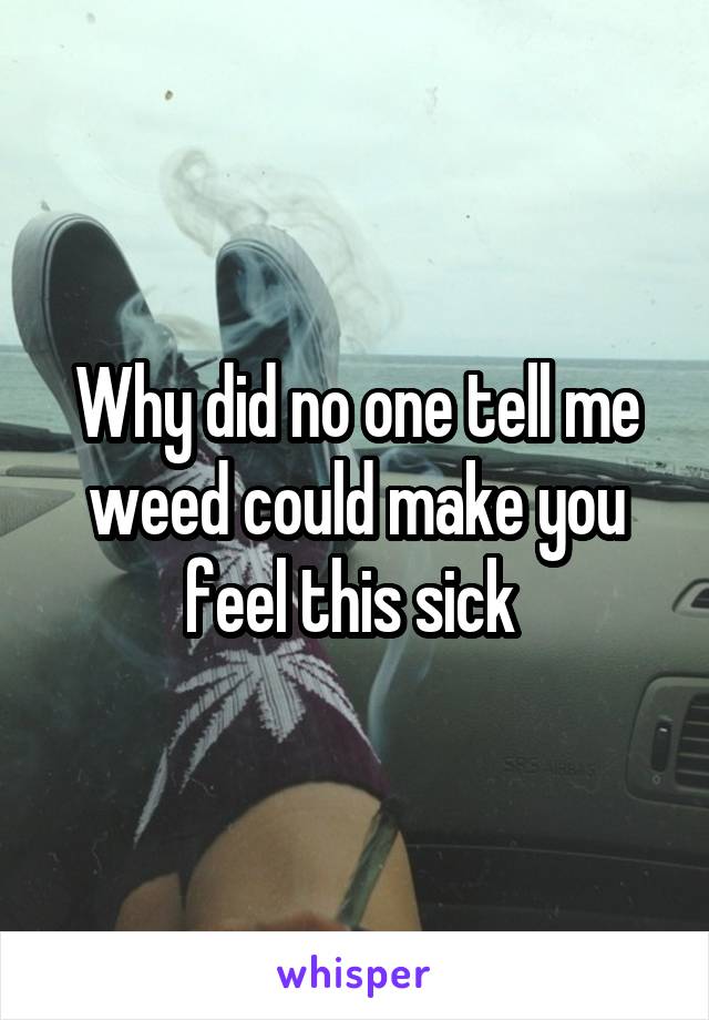 Why did no one tell me weed could make you feel this sick 