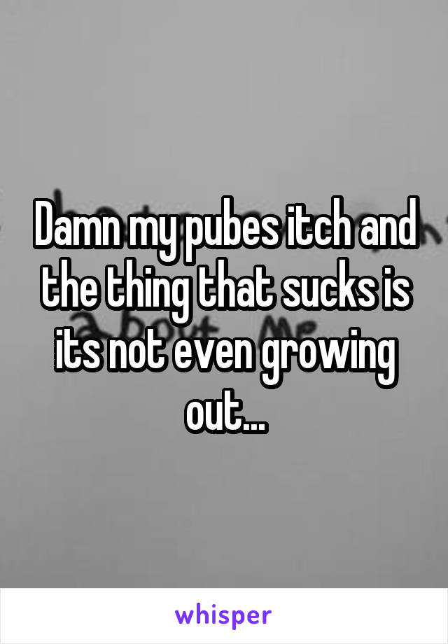 Damn my pubes itch and the thing that sucks is its not even growing out...