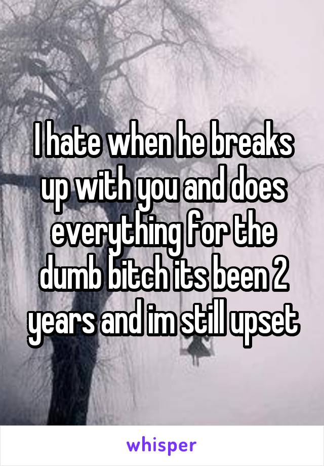 I hate when he breaks up with you and does everything for the dumb bitch its been 2 years and im still upset