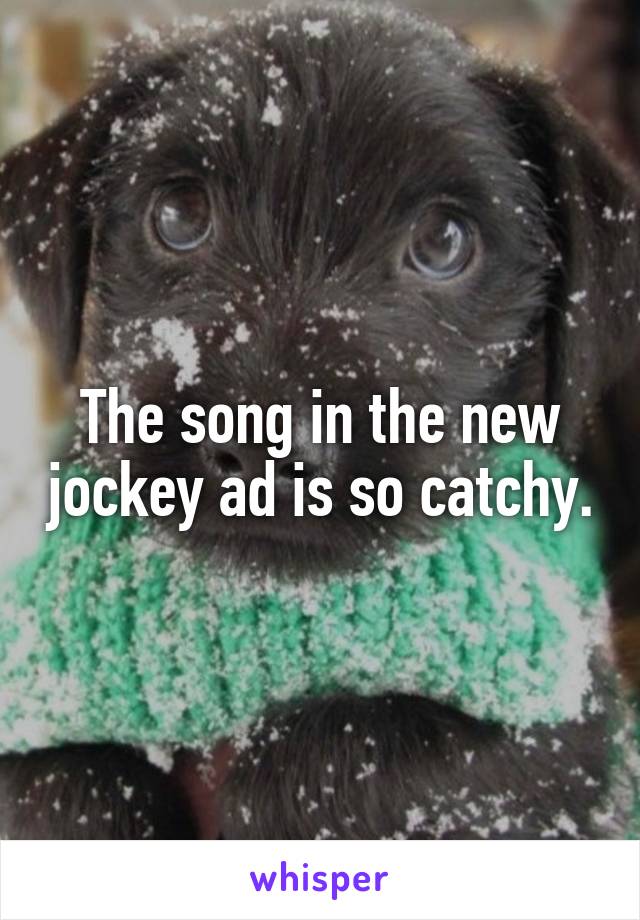 The song in the new jockey ad is so catchy.