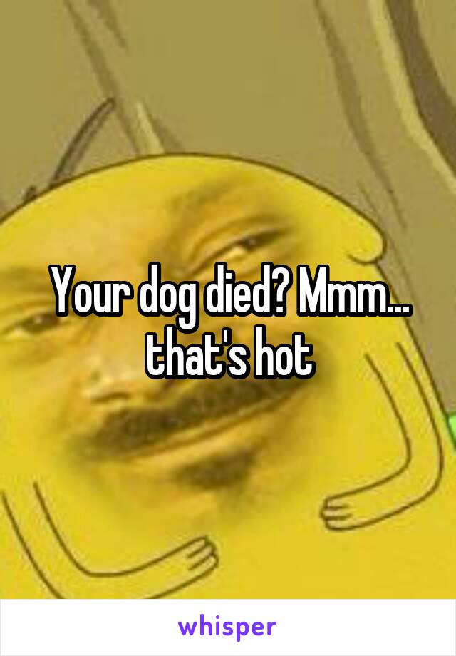 Your dog died? Mmm... that's hot