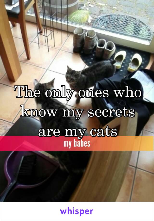 The only ones who know my secrets are my cats