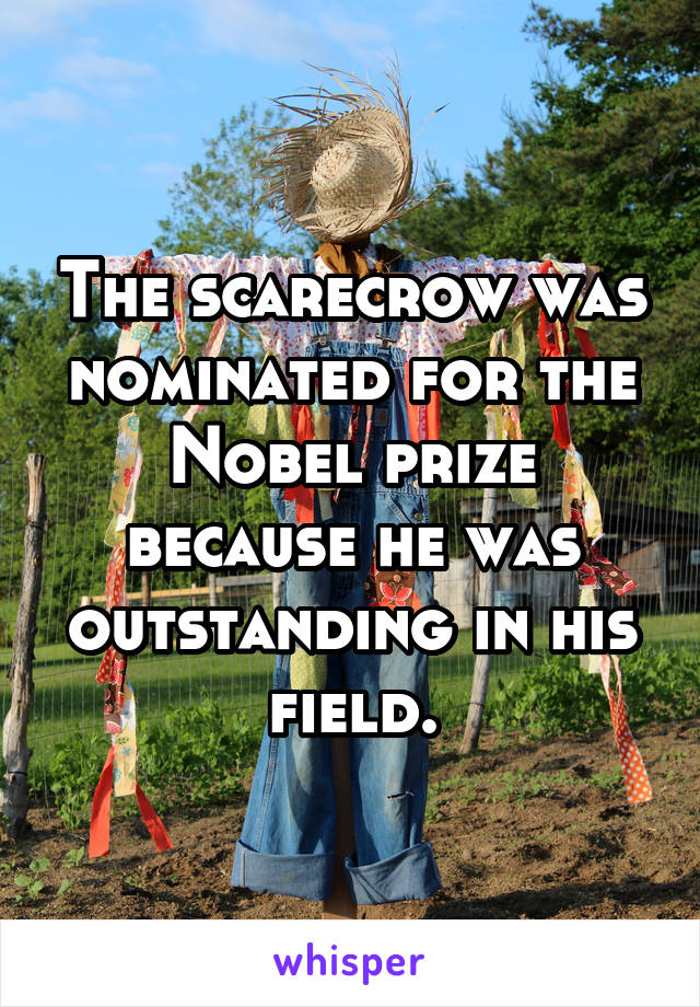 The scarecrow was nominated for the Nobel prize because he was outstanding in his field.