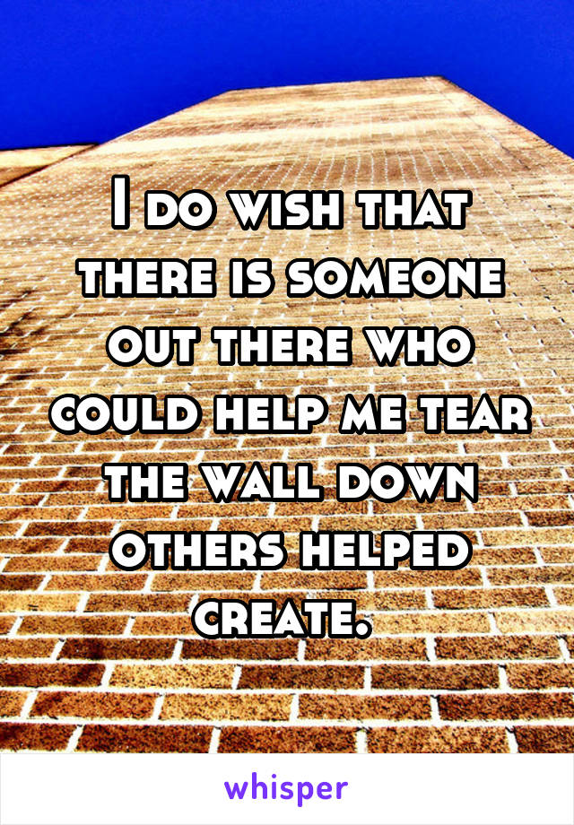 I do wish that there is someone out there who could help me tear the wall down others helped create. 