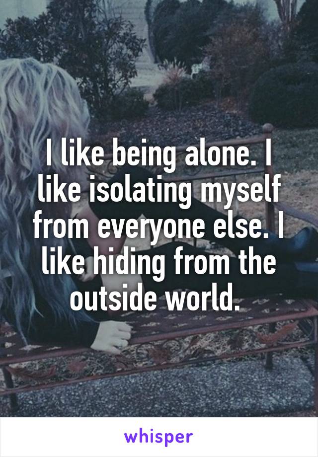 I like being alone. I like isolating myself from everyone else. I like hiding from the outside world. 