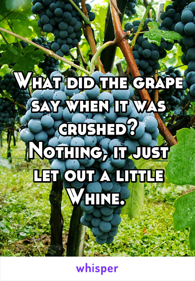 What did the grape say when it was crushed?
Nothing, it just let out a little
Whine. 