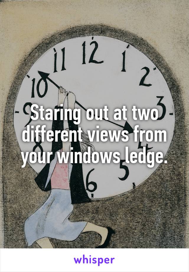 Staring out at two different views from your windows ledge.