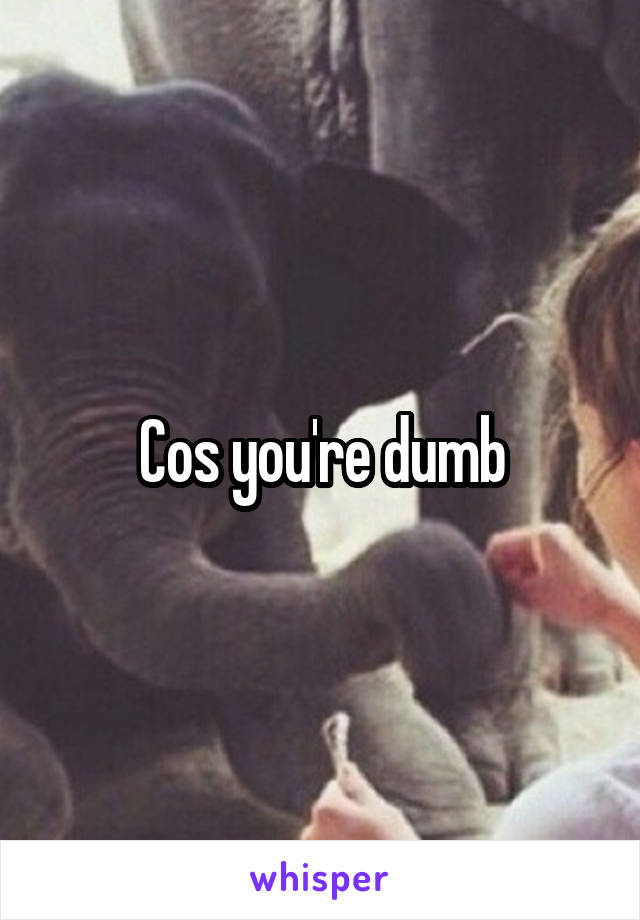 Cos you're dumb