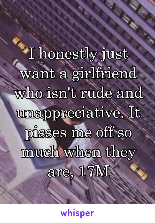 I honestly just want a girlfriend who isn't rude and unappreciative. It pisses me off so much when they are, 17M