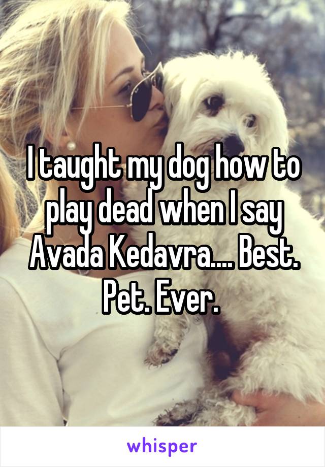 I taught my dog how to play dead when I say Avada Kedavra.... Best. Pet. Ever. 